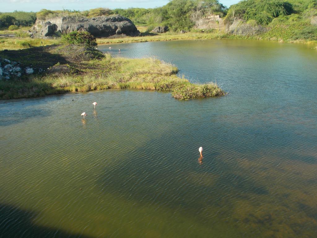 Paraiso De Isabela Puerto Villamil Exterior photo